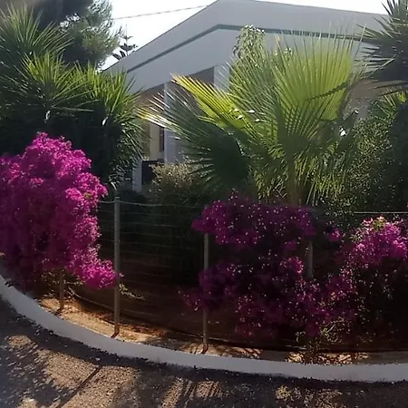 L'oasi