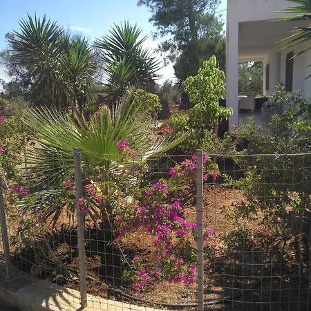 וילה L'oasi Capilungo